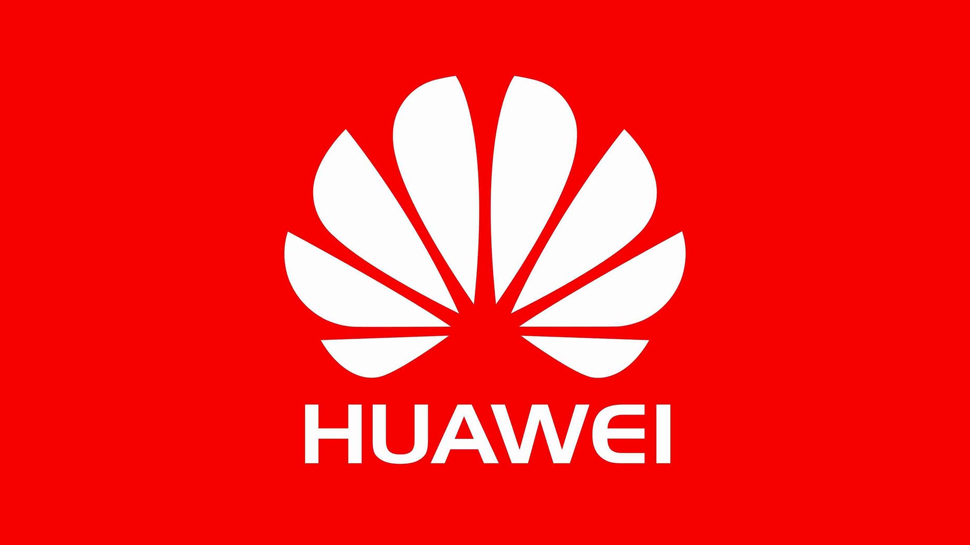 Telecom Egypt signs new deal with Huawei, ZTE, China Telecom