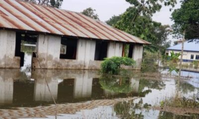 ALeP flooding