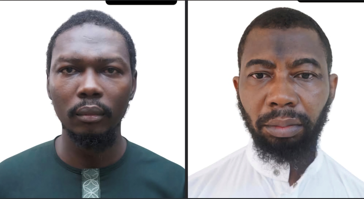 Mahmud al-Nigeri and Jama’atu Ansarul Muslimina fi-Biladis Sudan