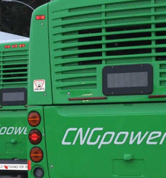 CNG Bus