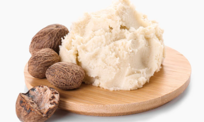 Raw Shea nuts