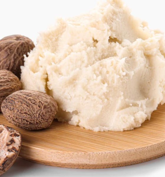 Raw Shea nuts
