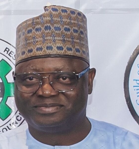 Lanre Issa-Onilu, the director general of NOA