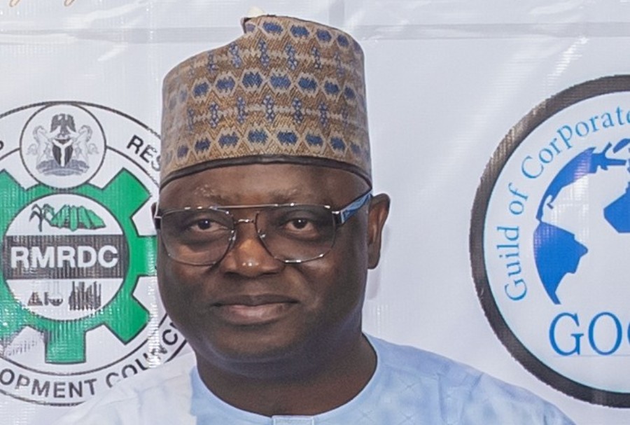 Lanre Issa-Onilu, the director general of NOA