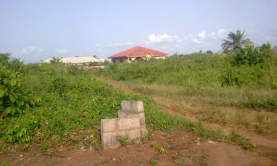 Chime Justus, the Enugu State Surveyor General