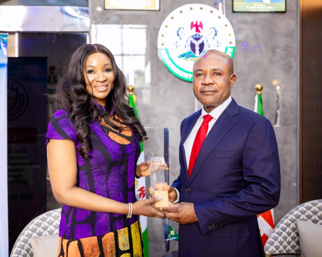 Gov Mbah Bags AFRIFF Excellence Award