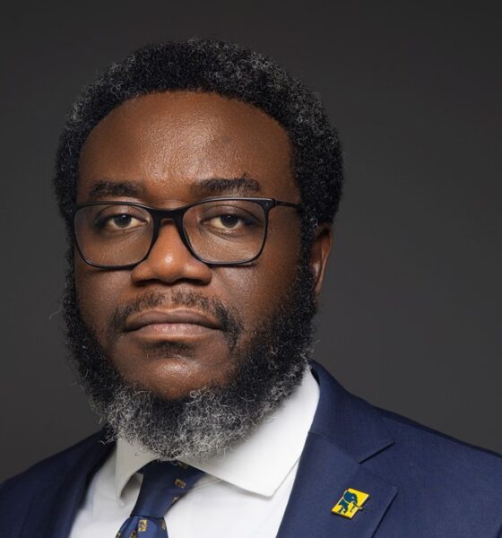 Ukandu E. Ukandu - MD FirstCap Ltd