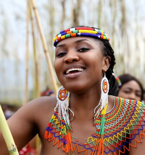 South African are returning home after abroad study